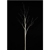 Sale Lifelike Artificial Tree Branches Best Quality Artificial Birch Branches Artificial Branches Hot Sale Online