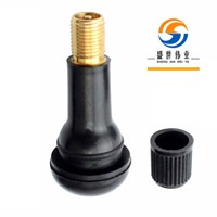 Tubeless Tr413 Tyre Valve for Auto Parts