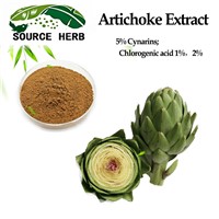 Supply Best Quality Artichoke Extract