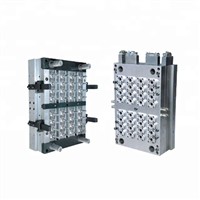 Plastic 32 Cavity Precision Professional Quality Pet Preform Mold Maker in China