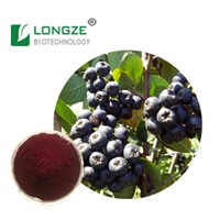 Factory Supply Aronia Chokeberry Extract Powder/Plant Extract /Herbal Extract/ Fruit Powder. Aronia Chokeberry Powder