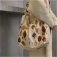 Dream Color Pearl Shell & Plant Custom Printed Exquisite Satin Ins Style Shoulder Messenger Bag Female Bag