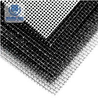 0.9mm Black Powder Coated 316 Stainless Steel Security Screens