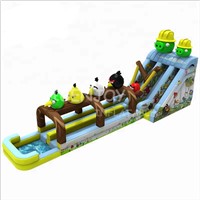 Angry Bird Inflatable Water Slide for Kids &amp;amp; Adults
