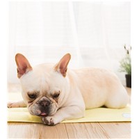 Discount! Best Quality with Lowest Price! Pet Supplies/Products, Pet Cooling Mat/Cooling Cushion from Chinese Factory!