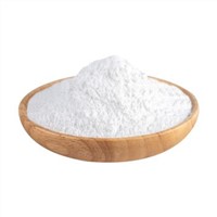 Pharmaceutical Grade Piracetam CAS 7491-74-9 Powder with Factory Price