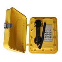 the Aluminum Alloy Safety Rotary Dial Public Telephone Waterpoof Telephone-JWAT301