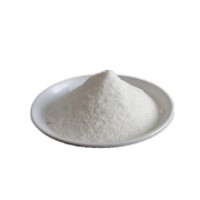 Hot Sale Factory Wholesale Nootropic Supplement Phenibut CAS 1078-21-3