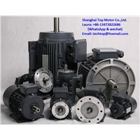 MS/MS2 Series IE1/IE2 Aluminum Housing Three-Phase Asynchronous Motors