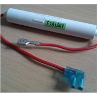 Fuse with Holder for Microwave Oven
