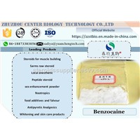 Local Anesthetic Benzocaine with 99% Pain Killer Powder CAS: 94-09-7