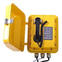 Wall-Mounted Telephone VoIP Telephone for Explosion Factory Landline Telephone-JWBT810