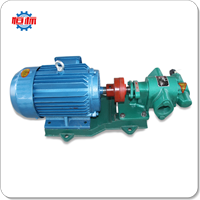 Food Grade Stainless Steel Gear Pumps Palm Olive Edible Oil Vegetable Soybean Oil Transfer Pump