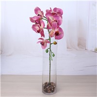 Moth Orchid, Artificial Flower