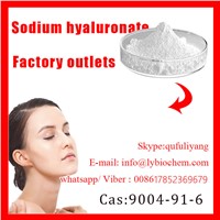 Cosmetic Raw Material Sodium Hyaluronate