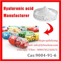 Hyaluronic Acid in Health &amp;amp; Medical