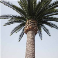 Artificial Date Palm, Introduction of Artificial Date Palm Tree