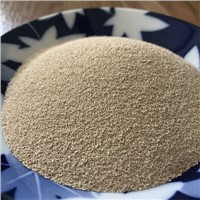 DRY YEAST for BAKERY Fermipan Yeast