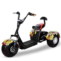 Halley Electric Tricycle New Battery Citycoco Prince Car Electric Wheel 3 Wheel Motorcycle