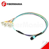 MTP Male to LC Fanout Cable 24 Fibers Om3 50/125 10g 1m