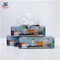 Snack Plastic Resealable LDPE Double Zipper Coloured Bag