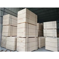 Poplar LVL Used for Pallet / Packaging