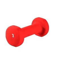 China Manufacture Wholesale Gym Fitness 3 LB Neoprene Dumbbell