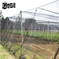 HDPE Insect Agricultural Gauze Greenhouse Hail Net Farm Wear Insect Net