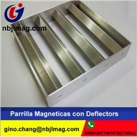 Grill Magnet with Diamond Bars 12000gs Spices Process Metal Delection
