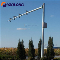 Custom Design 3 Meter Street Traffic Lighting Pole/CCTV Camera Pole