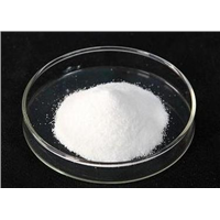 Factory Direct Muscle Powder/ Top Purity/Lowest Price