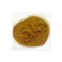 Sodium Lignosulfonate MN2 CAS No.: 8061-51-6