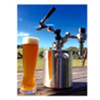 No Electric New CO2 Home Draft Beer Dispenser