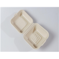 6&amp;quot; Quality Disposable Biodegradable Hamburger Clamshell(Waterproof, Oil-Proof, Fit to Microwave)