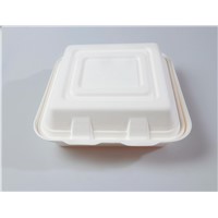 10&amp;quot; 3-Comp Quality Disposable Biodegradable Clamshell(Waterproof, Oil-Proof, Fit to Microwave)