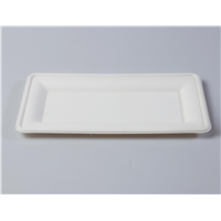 10&amp;quot; Quality Disposable Biodegradable Square Plate(Waterproof, Oil-Proof, Fit to Microwave)