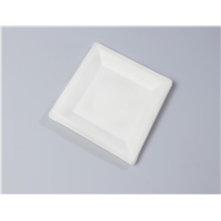 6&amp;quot; Quality Disposable Biodegradable Square Plate(Waterproof, Oil-Proof, Fit to Microwave)