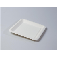 8&amp;quot; Quality Disposable Biodegradable Square Plate(Waterproof, Oil-Proof, Fit to Microwave)