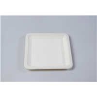 9.5&amp;quot; Quality Disposable Biodegradable Square Plate(Waterproof, Oil-Proof, Fit to Microwave)