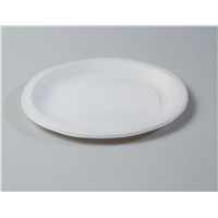 Small Oval Quality Disposable Biodegradable Plate(Waterproof, Oil-Proof, Fit to Microwave)