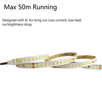 10 Years Factory Free Sample High Quality New Design Flex LED Strips 5050 3528 3014 5630 2835 2216 2110