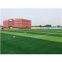 Sports Artificial Grass for Soccer Pitch with 8 Years of Warranty