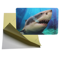 PLASTICLENTICULAR Customize 3D Lenticular Sticker with Self Adhesive Back-Plastic Flip Lenticular Printing Stickers