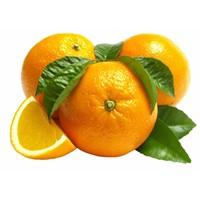 Natural Plant Extract Citrus Fiber