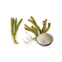 Natural Plant Extract Huperzine A
