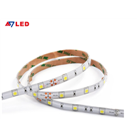 Hot Sale SMD 5050 LED Strip for Bedroom Made in China