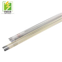 Factory Direct Welding Rod Best Quality E6013 Professional Electrode