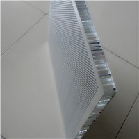 Perforated Aluminum Honeycomb Sandwich Panel with Non-Woven Fabrics Layer