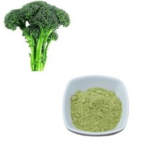 Broccoli Juice Powder from Factory