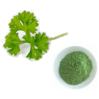 Parsley Juice Powder from Factory